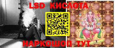 трава Новокубанск