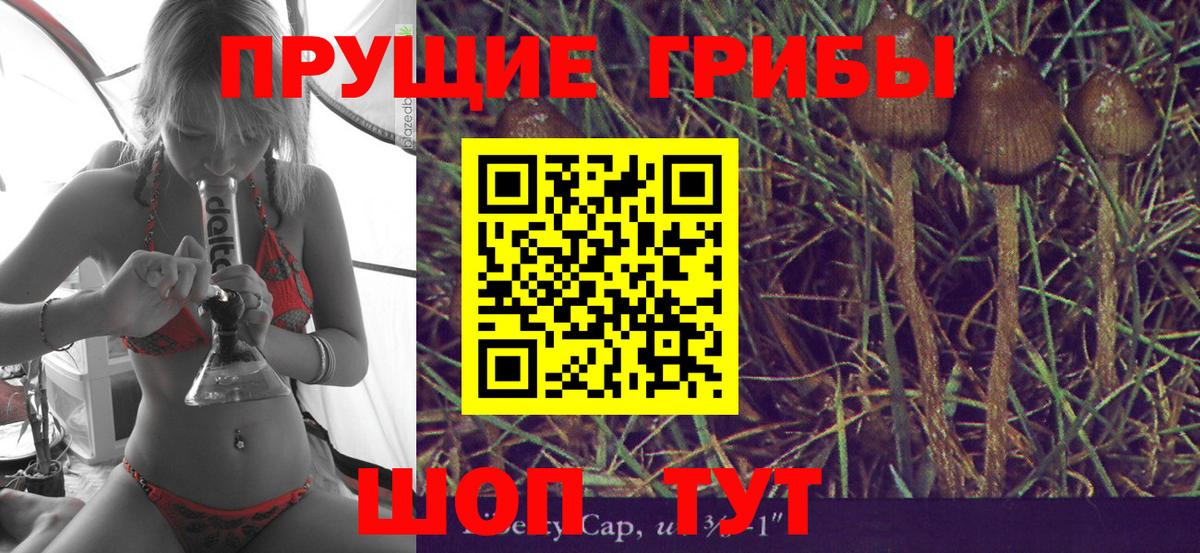 Псилоцибиновые грибы мухоморы  где купить наркоту  Шарыпово  Вход с VPN 